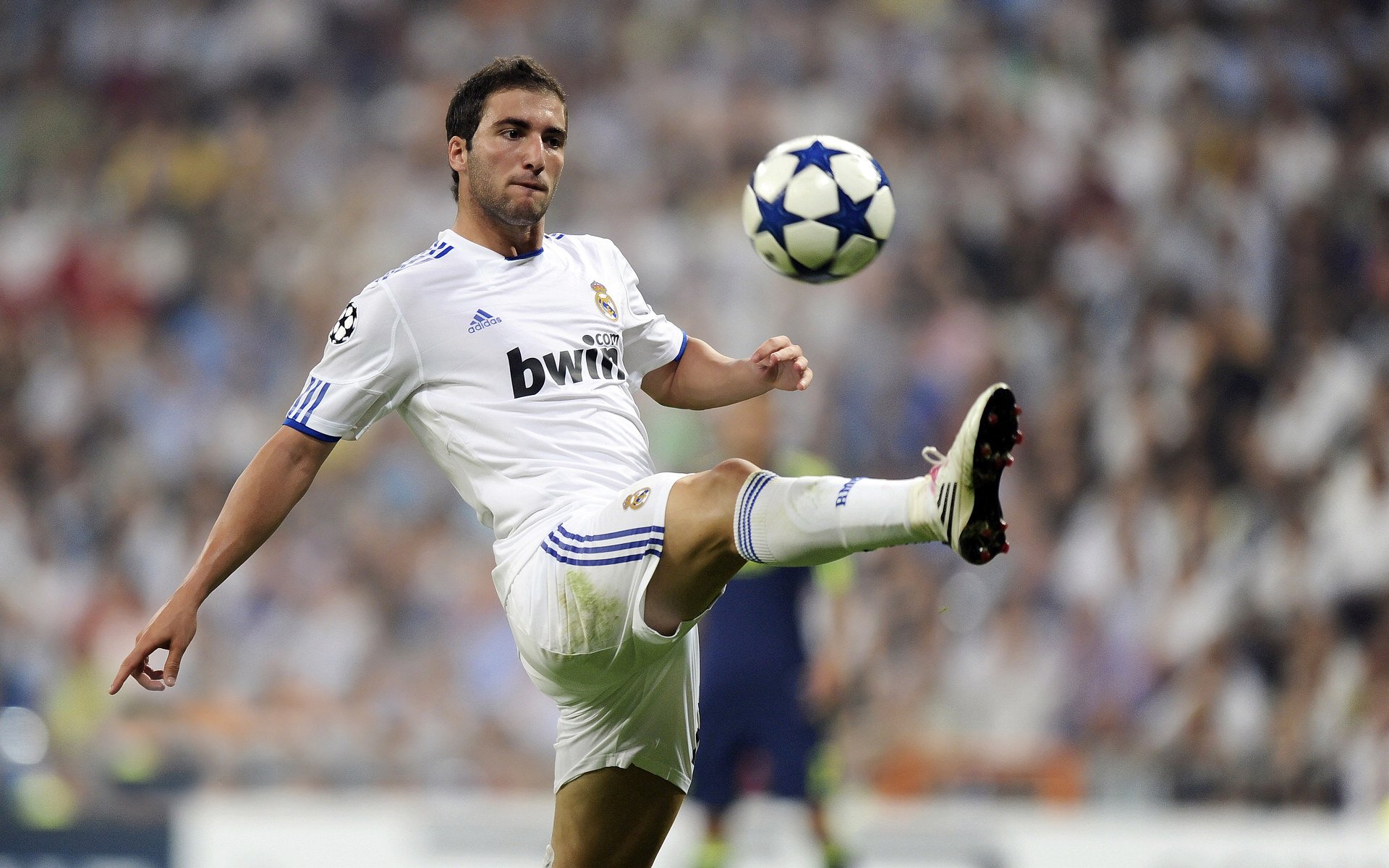 布鲁诺·卡博克洛在NBA夏季联赛中展现篮板能力,布鲁诺卡波科洛 2kol2