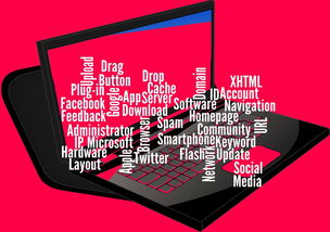 开云下载网址-CBA开展球员社交媒体管理课程提高职业素养，运动员社交媒体